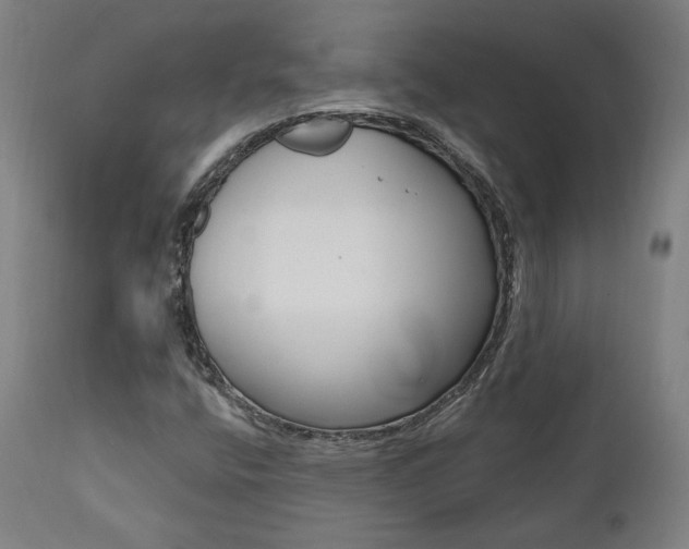 X0000112101400200908041102
