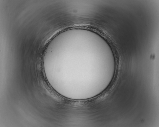 X0000112101401200908041102