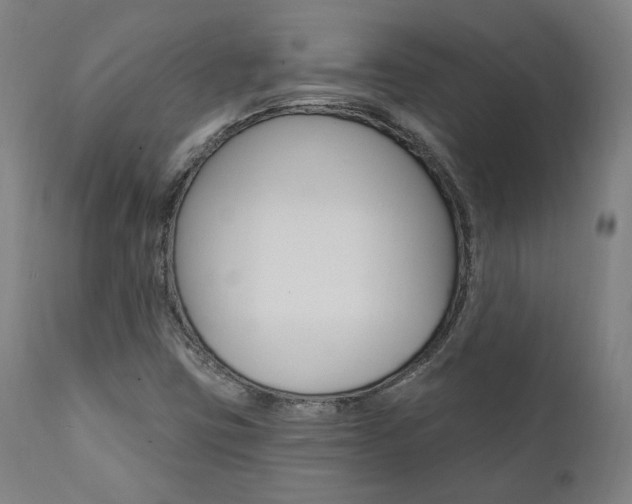 X0000112101403200908041102