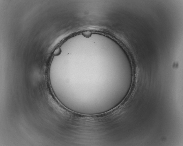 X0000112101404200908041102