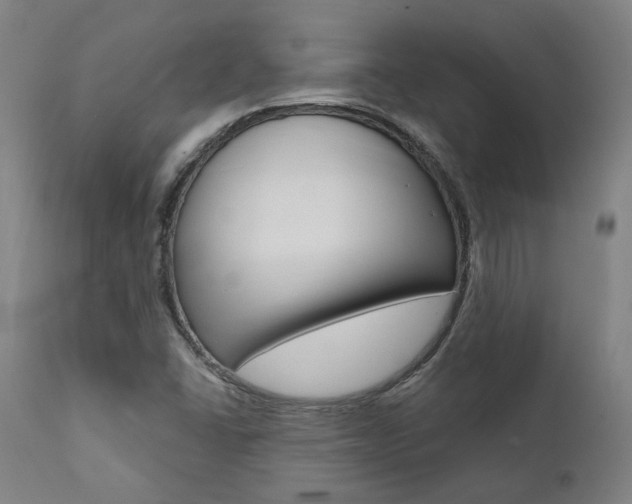 X0000112101406200908041102