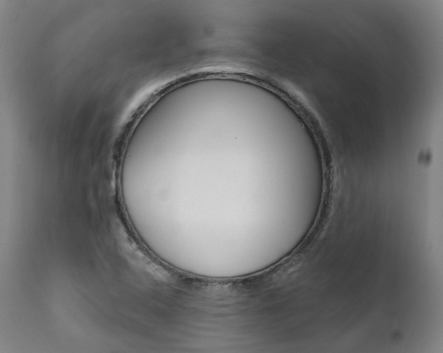 X0000112101408200908041102