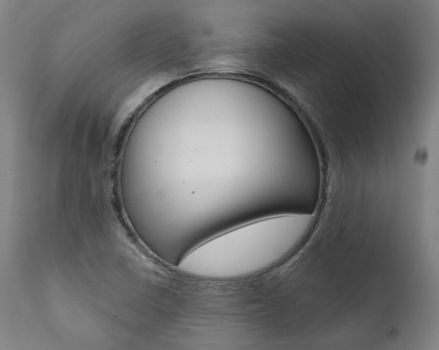 X0000112101410200908041102