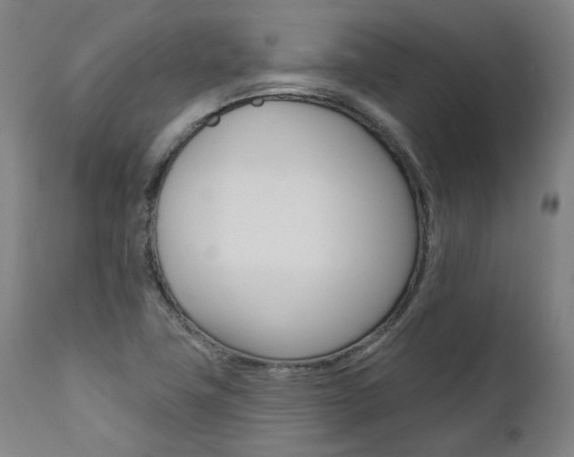X0000112101411200908041102