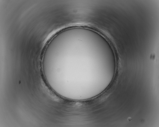 X0000112101412200908041102