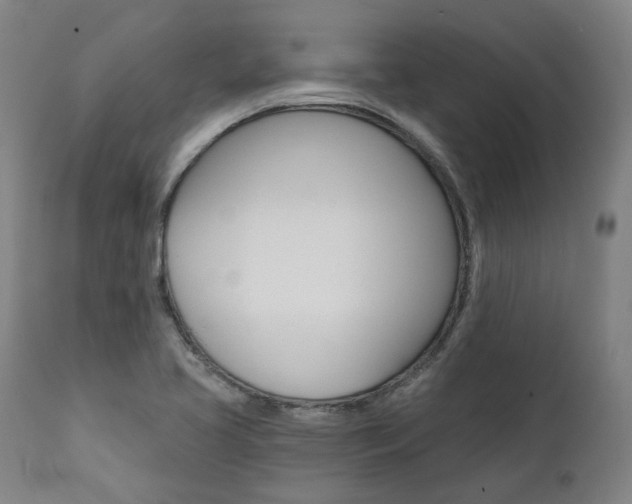 X0000112101413200908041102