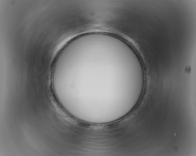 X0000112101415200908041102