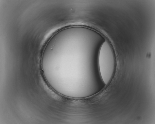 X0000112101416200908041102