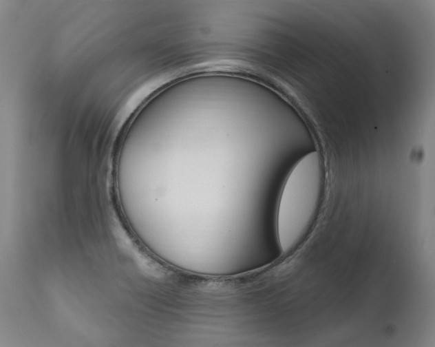 X0000112101418200908041102
