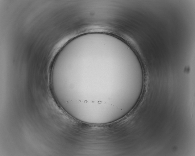 X0000112101419200908041102