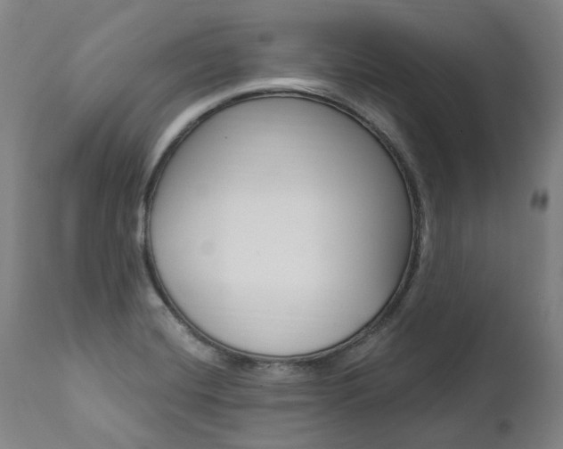 X0000112101420200908041102