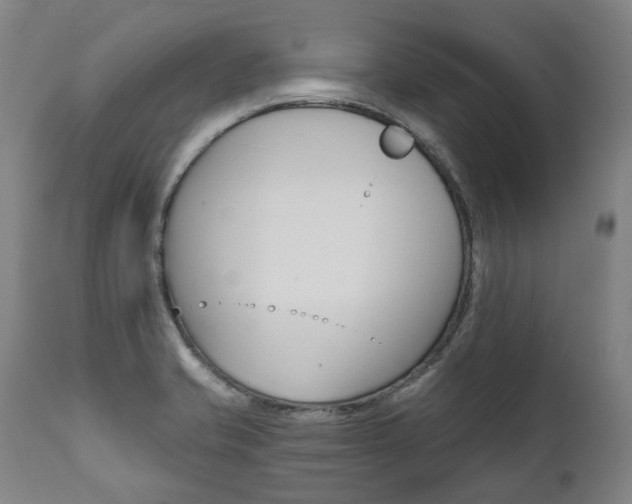 X0000112101421200908041102