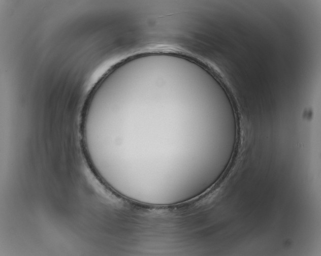 X0000112101422200908041102