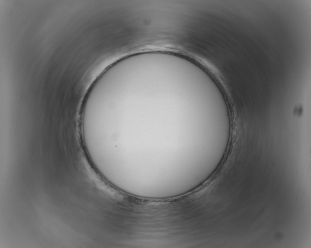 X0000112101423200908041102
