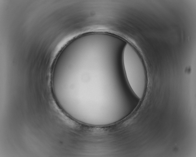 X0000112101424200908041102