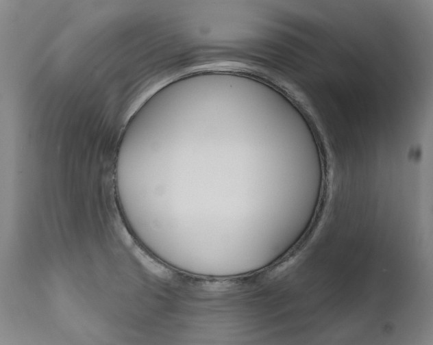 X0000112101425200908041102