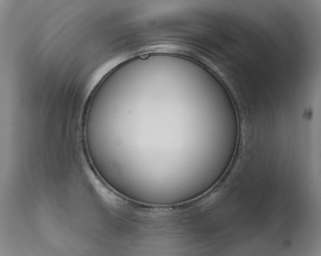X0000112101426200908041102