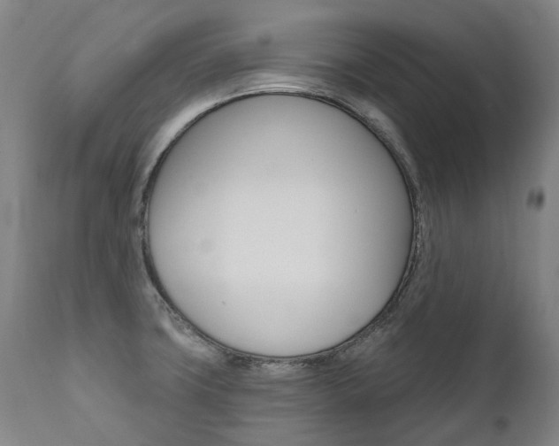 X0000112101427200908041102