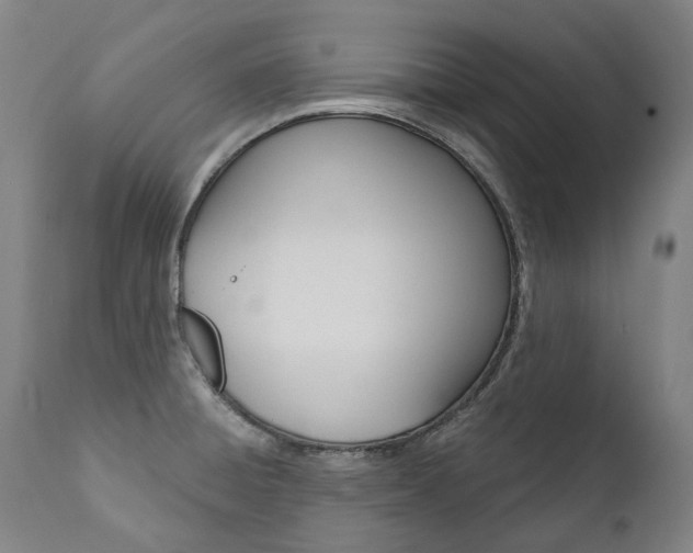 X0000112101428200908041102