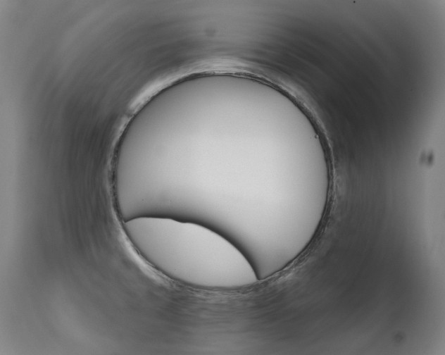 X0000112101429200908041102