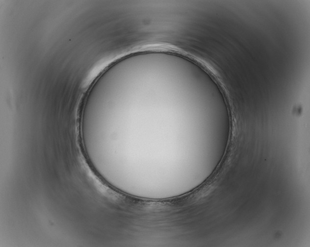 X0000112101430200908041102