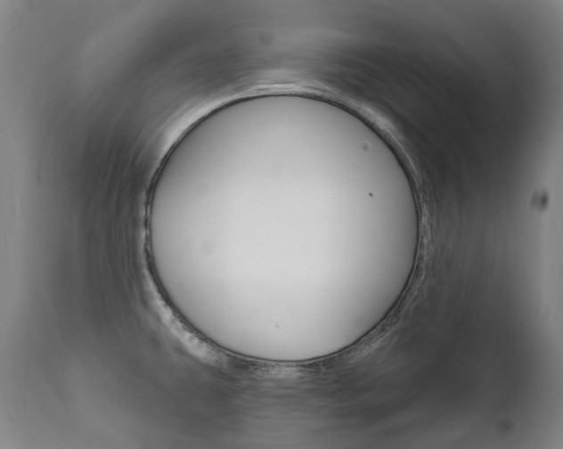 X0000112101431200908041102