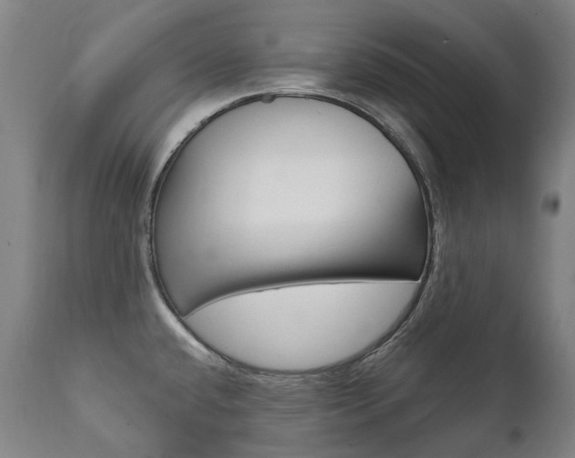 X0000112101432200908041102