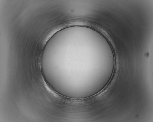 X0000112101433200908041102