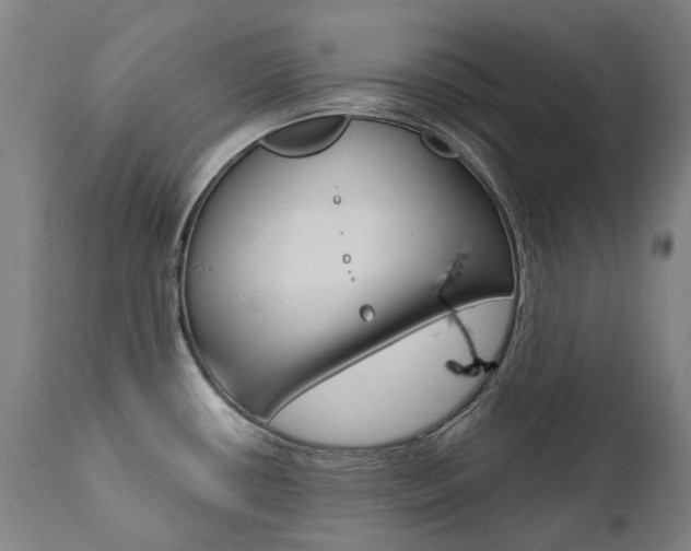 X0000112101434200908041102