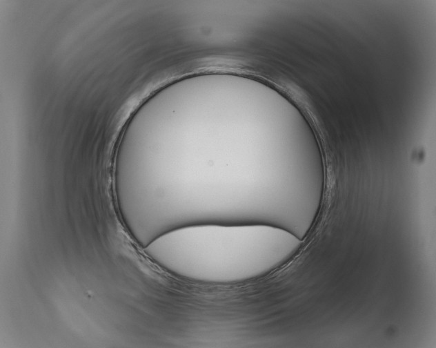 X0000112101435200908041102