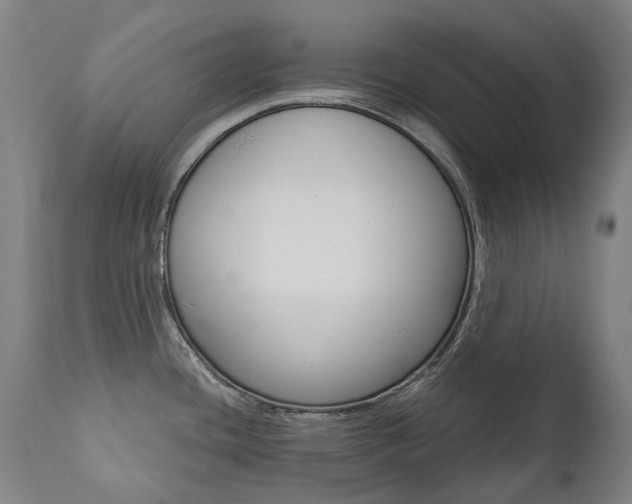 X0000112101436200908041102
