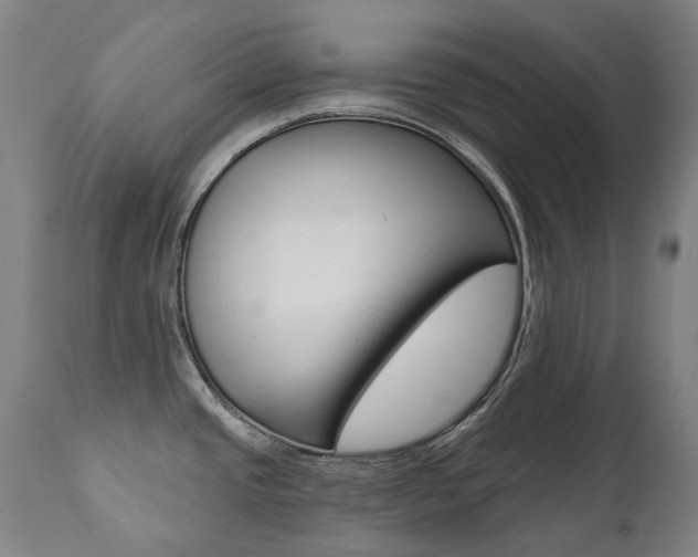 X0000112101437200908041102