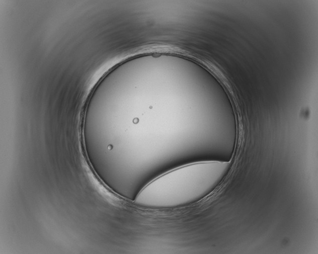 X0000112101438200908041102