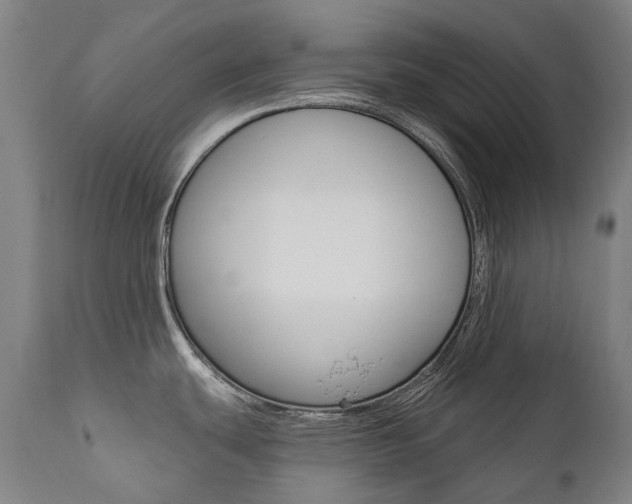 X0000112101439200908041102