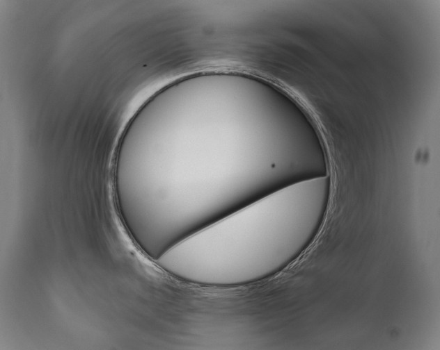 X0000112101440200908041102