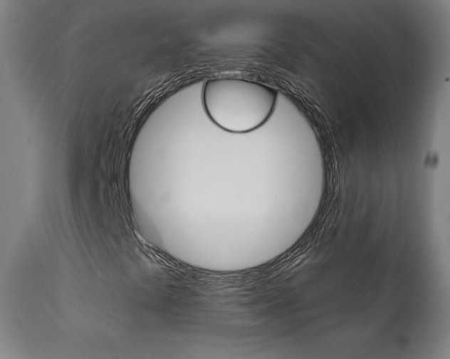 X0000112101441200908041102