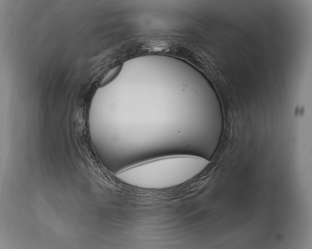 X0000112101442200908041102
