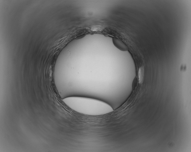 X0000112101443200908041102
