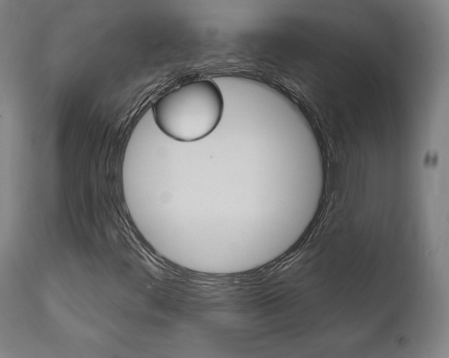 X0000112101444200908041101