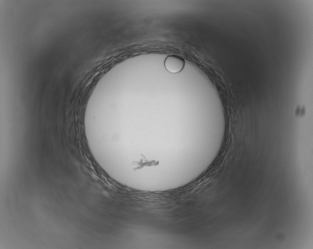 X0000112101445200908041101