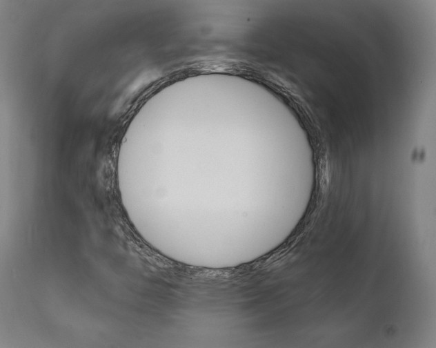 X0000112101446200908041101