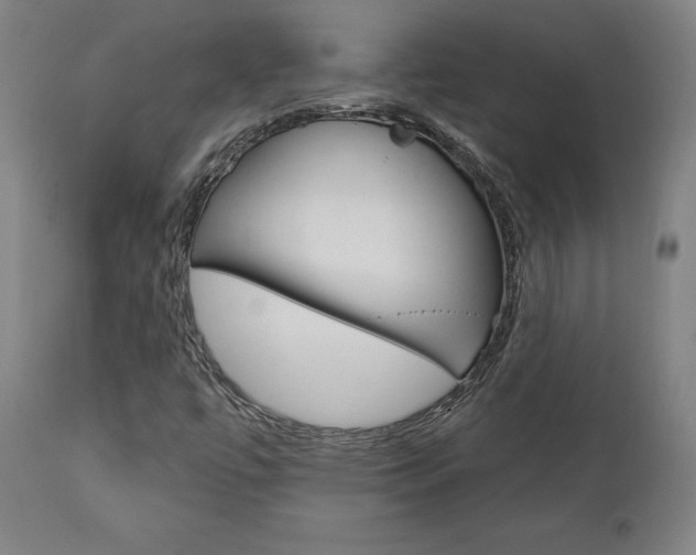 X0000112101447200908041101