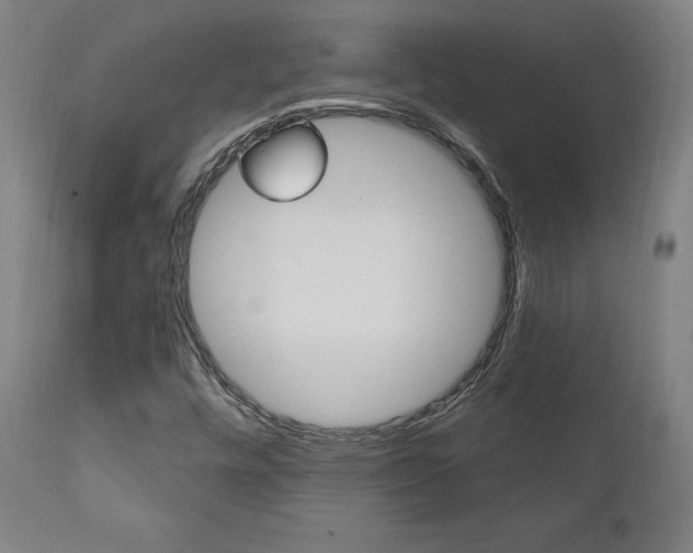 X0000112101448200908041101
