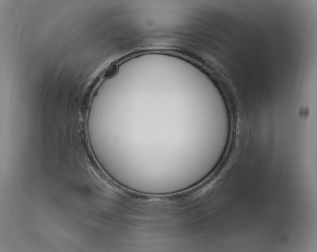 X0000112101449200908041101