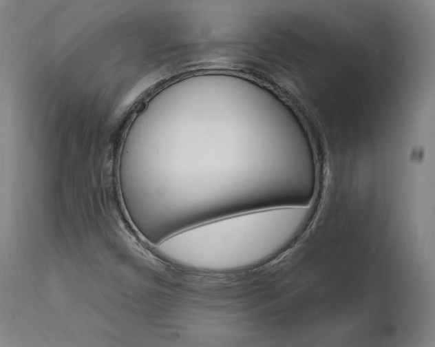 X0000112101450200908041101