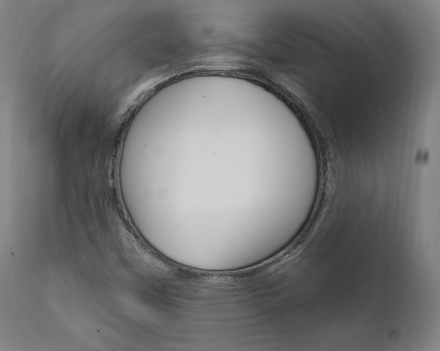 X0000112101451200908041101