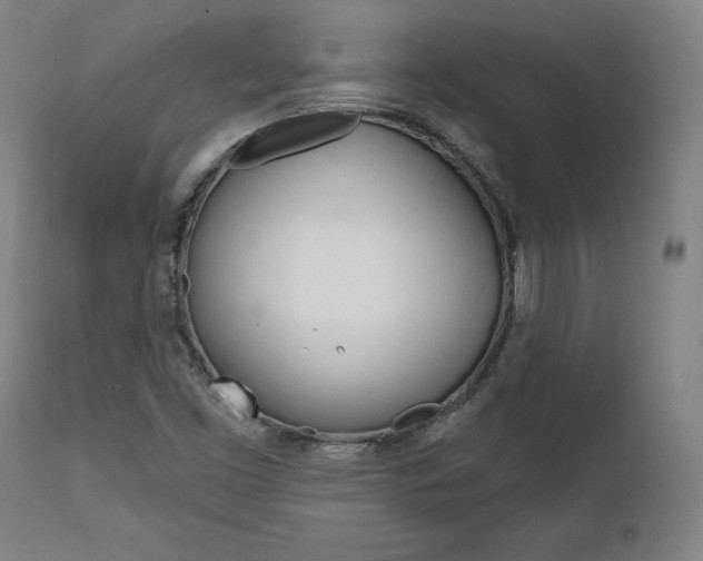 X0000112101453200908041101