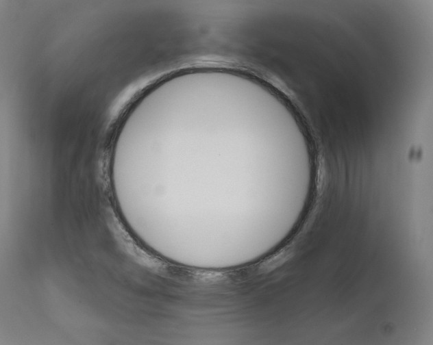X0000112101454200908041101