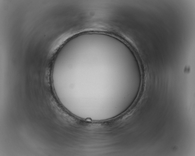X0000112101455200908041101