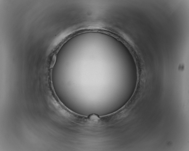 X0000112101456200908041101